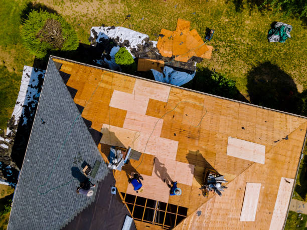 Best Roof Waterproofing Services  in Wayland, MI