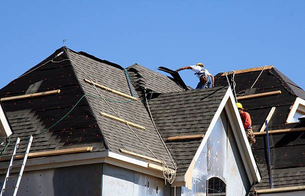 Best New Roof Installation  in Wayland, MI