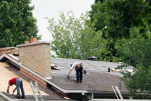 Best Roof Maintenance Services  in Wayland, MI