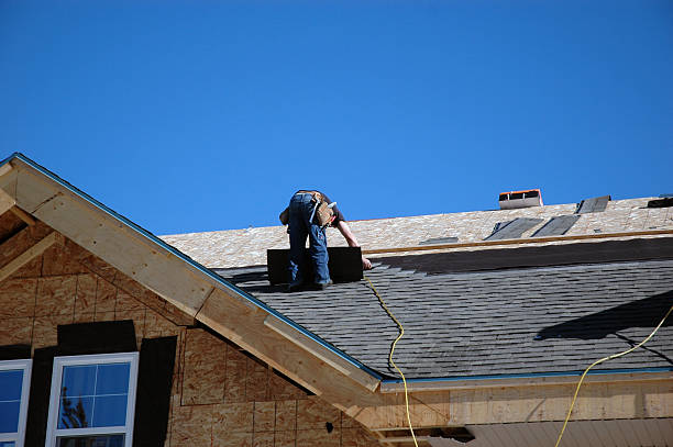 Best Roof Gutter Cleaning  in Wayland, MI